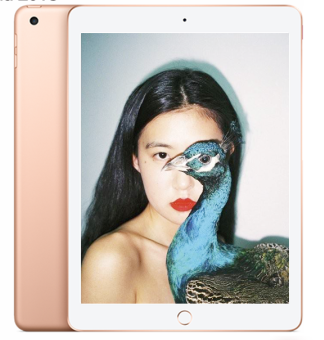 Apple/苹果 iPad 2018 2018款 二手平板  Apple/苹果 iPad 2018 2018款 二手平板